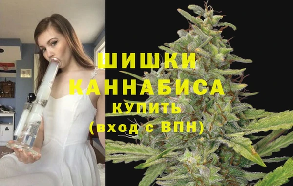 МДПВ Армянск
