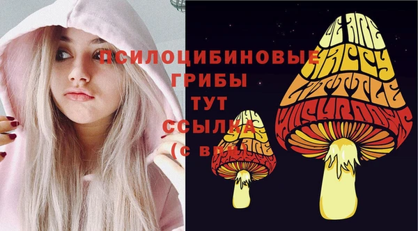 МДПВ Армянск