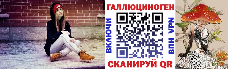 darknet как зайти  Терек  Галлюциногенные грибы ЛСД 